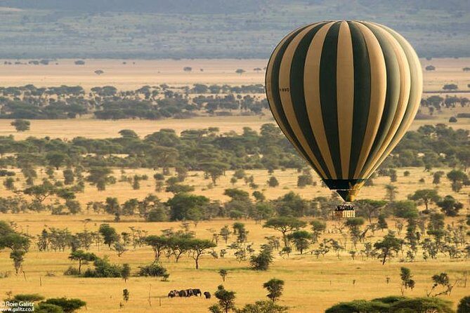4 days Join Group safari in Serengeti, Ngorongoro and Lake Manyara National Park - The Sum Up