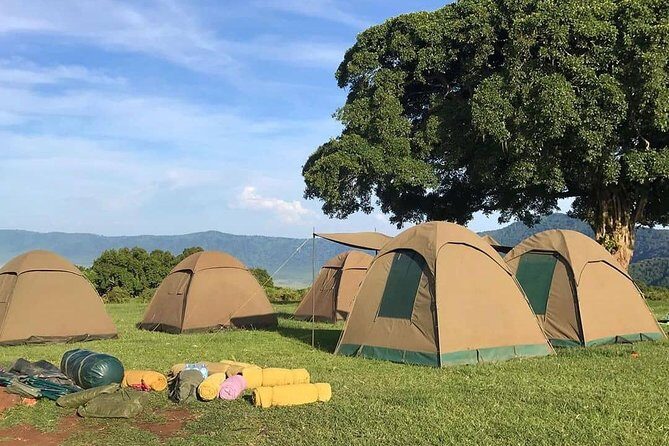 4 Days Join Group tour Tarangire Serengeti and Ngorongoro crater - FAQs