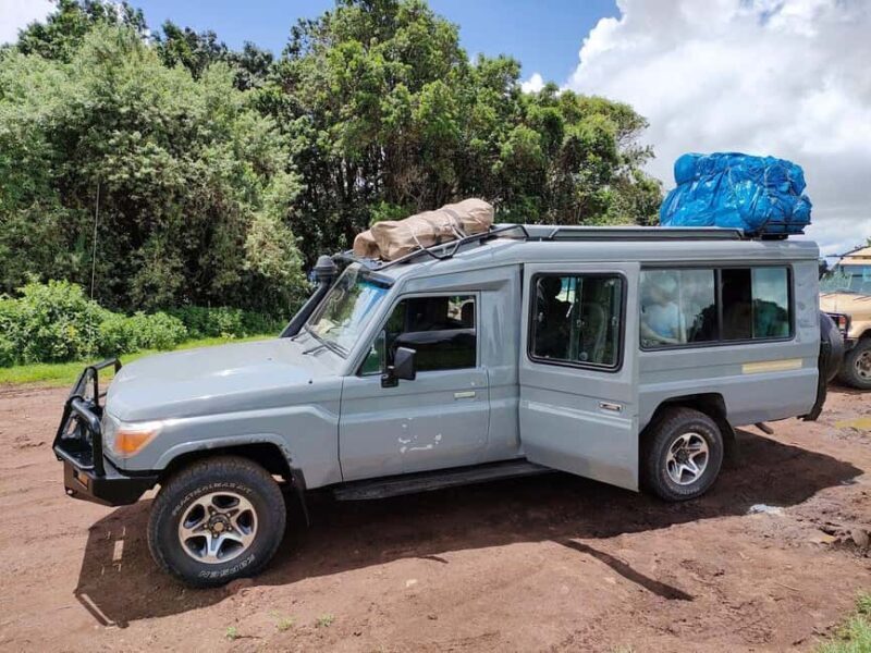 4 Days Join-In Safari: Big Five & Great Plains - An In-Depth Look at What This Safari Offers