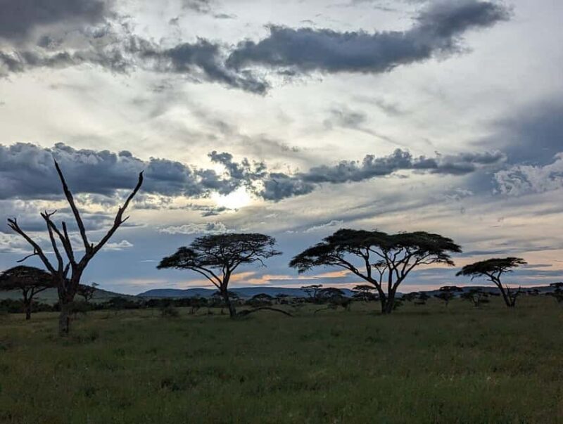 4 Days Join-In Safari: Big Five & Great Plains - Who Should Consider This Safari?