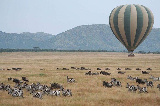 4 Days Kenya Safari - Key Points