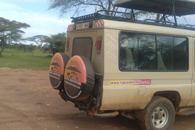 4 Days Kenya Safari - Final Thoughts