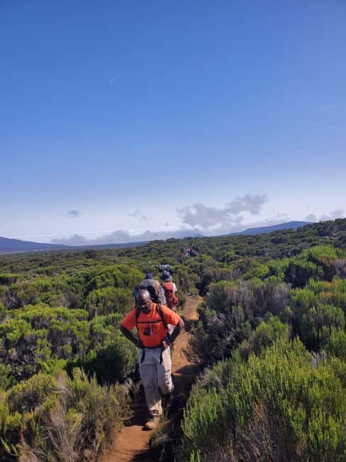 4-Days Kilimanjaro Climb: Marangu Private Tour - The Sum Up: Is This Tour Right for You?