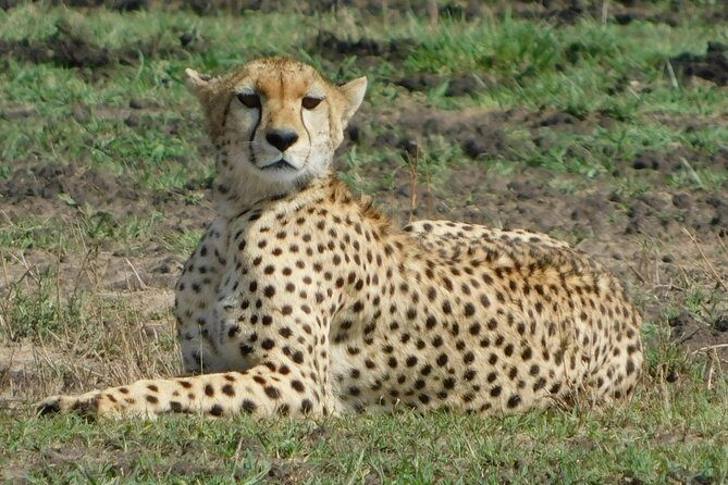 4 Days Kilimanjaro Experience - Mombasa - An Honest Look at the 4 Days Kilimanjaro Experience from Mombasa