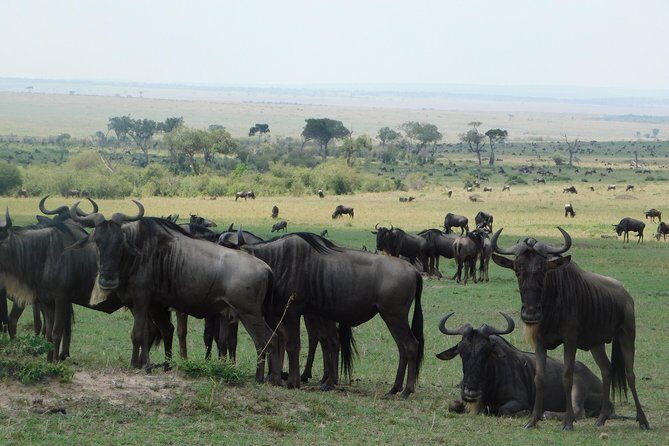 4 Days Kilimanjaro Experience - Mombasa - Why This Tour Stands Out