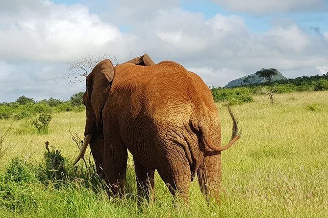 4 Days Kilimanjaro Experience - Mombasa - Final Words