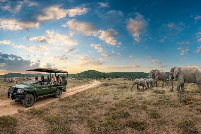 4 days Kruger Park Big 5 Safari and Awesome Panorama Route - A Closer Look at the Itinerary and What You Can Expect