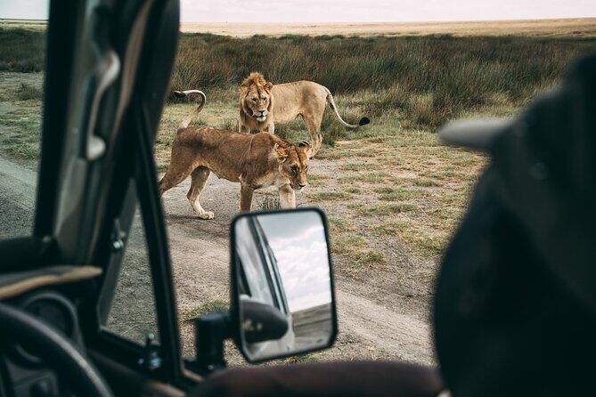 4 Days Lodge Safari in Lake Manyara, Serengeti & Ngorongoro Crater - The Itinerary: A Closer Look