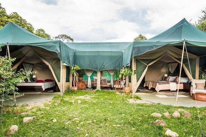 4 days Maasai Mara-Nakuru Mid-Range - FAQ