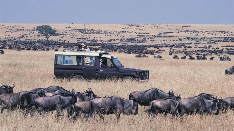 4 Days Magical Adventure to Manyara, Ngorongoro & Serengeti - An In-Depth Look at the 4-Day Safari in Tanzania