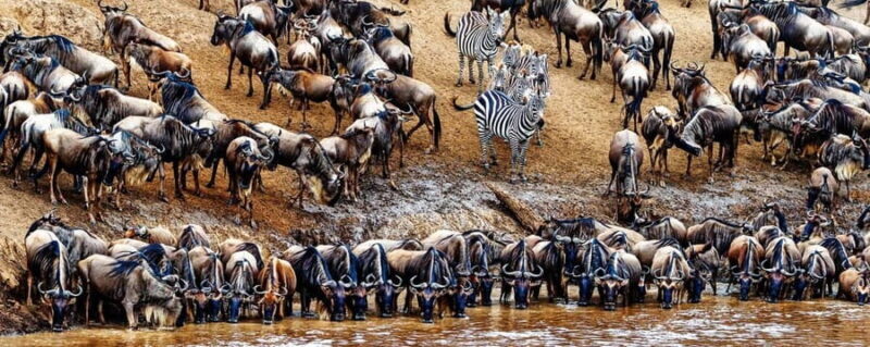 4 Days Magical Adventure to Manyara, Ngorongoro & Serengeti - Who Should Consider This Tour?