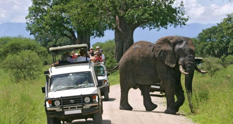 4 Days Magical Adventure to Manyara, Ngorongoro & Serengeti - Exploring the Itinerary: What You Can Expect