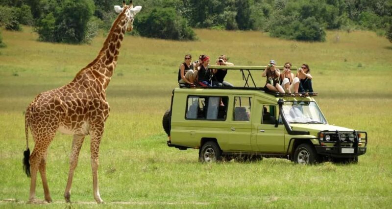 4 Days Magical Adventure to Manyara, Ngorongoro & Serengeti - Does the Price Match the Experience?