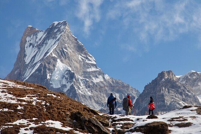 4 Days Mardi Himal Base Camp Trekking in Pokhara - An Honest Look at the 4-Day Mardi Himal Base Camp Trek from Pokhara
