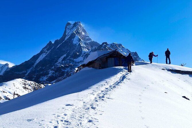 4 Days Mardi Himal Base Camp Trekking in Pokhara - Key Points