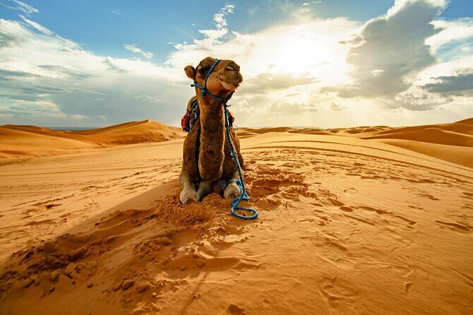 4-Days Marrakech to Marrakech Désert Tour - Starting in Marrakech: From the Red City to the High Atlas
