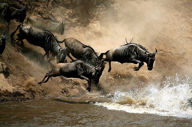 4 Days Masai Mara and Lake Nakuru Budget Safari Meals included - Key Points