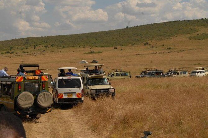 4 Days Masai Mara and Lake Nakuru Budget Safari Meals included - The Sum Up: Who Is This Safari Perfect For?