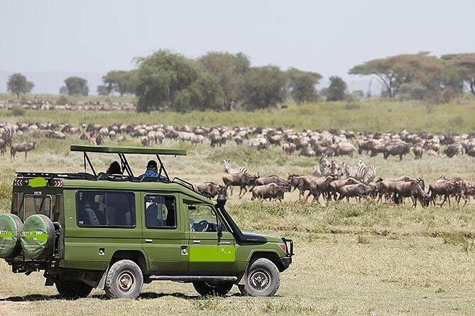 4 Days Masai Mara and Lake Nakuru Luxury Safari on 4x4 Jeep - A Closer Look at the Itinerary