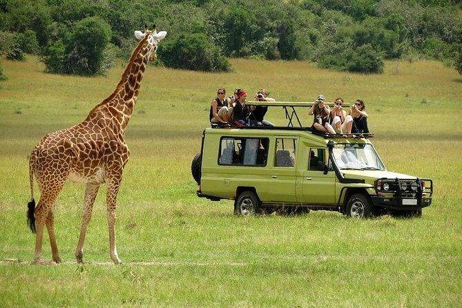 4 Days Masai Mara and Lake Nakuru Luxury Safari on 4x4 Jeep - What’s Included and What’s Not