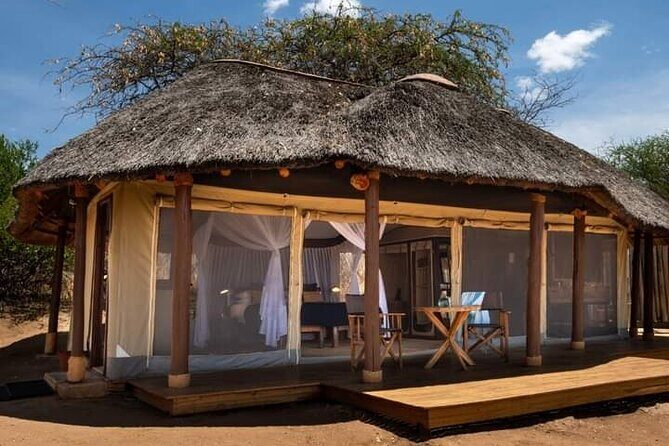 4 Days Masai Mara/Lake Nakuru Budget Safari - Final Thoughts: Who Should Consider This Safari?