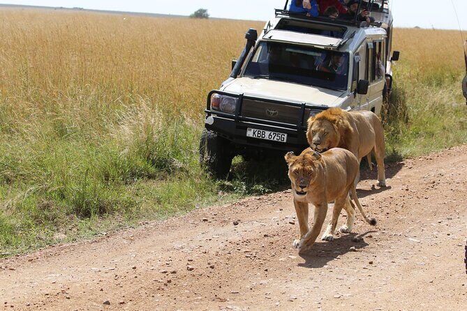 4 Days Masai Mara Lake Nakuru Jeep Safari - Final Thoughts