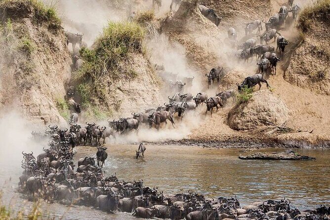 4 Days Mid Luxury Safari, Lake Nakuru and Masai Mara. - Final Thoughts