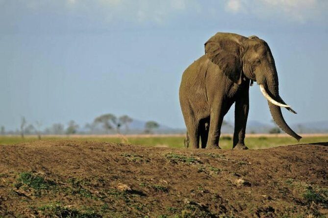 4 Days Mikumi & Udzungwa National Parks Safari - A Closer Look at the Itinerary