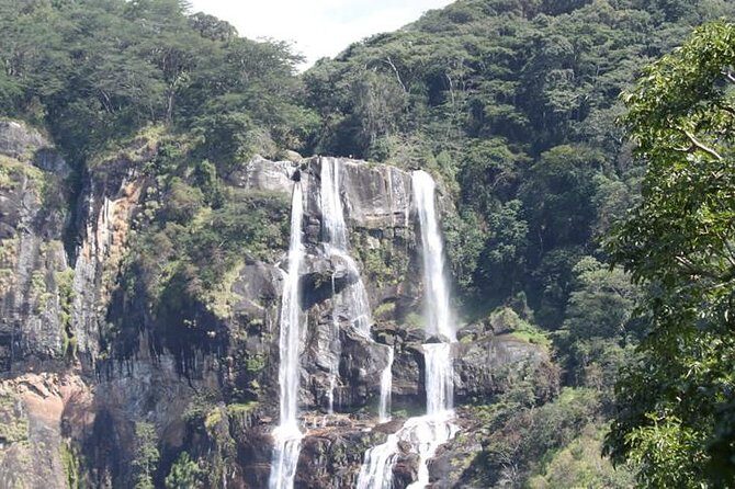 4 Days Mikumi & Udzungwa National Parks Safari - The Sum Up: Is This Tour Right for You?