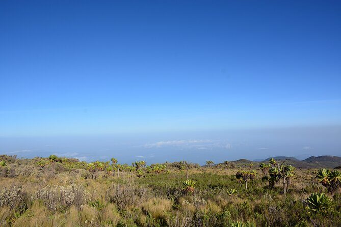 4 Days mount Elgon Trek, 4321m a.s.l - A Detailed Look at the Mount Elgon Trek