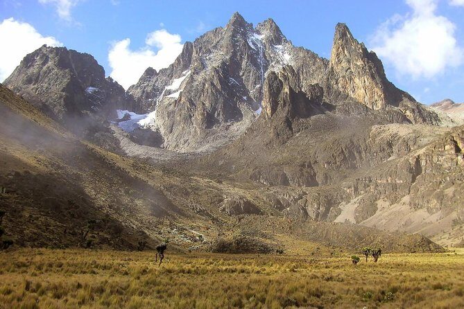 4 Days Mount Kenya Trekking - An Adventure Worth the Effort: The 4-Day Mount Kenya Trekking Tour
