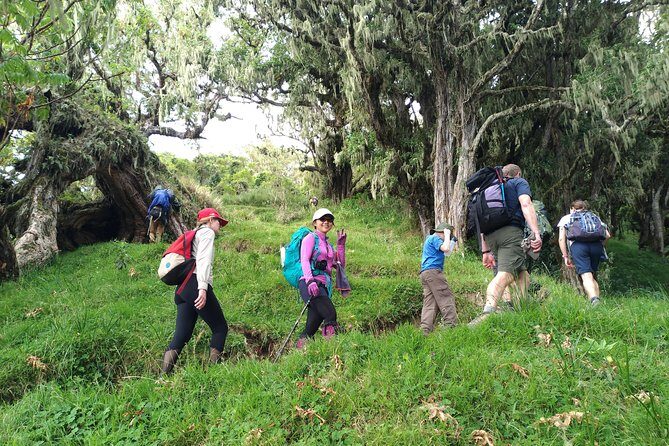 4 Days Mount Meru Trekking - Authentic Experiences and Personal Touches