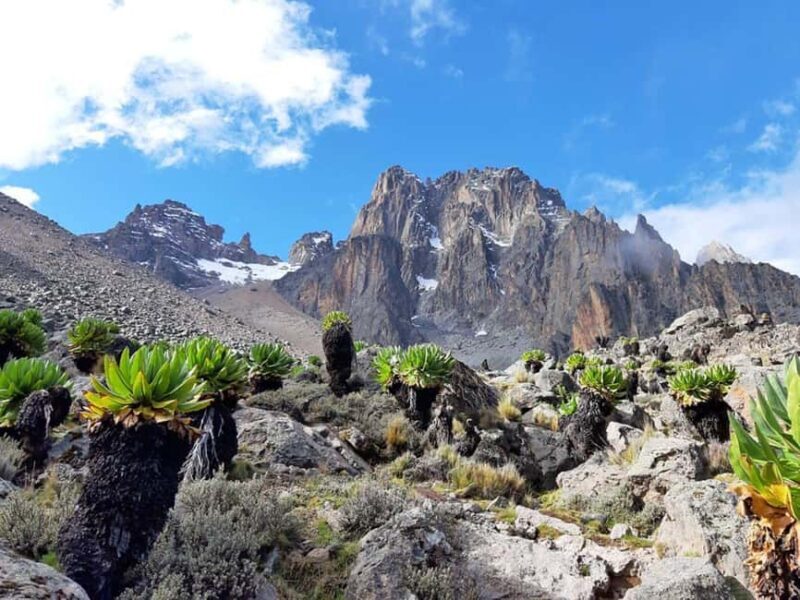 4 Days Mt Kenya Climbing & Hiking Expeditions: Sirimon Route - A Detailed Breakdown of the 4-Day Mt Kenya Climb via Sirimon Route