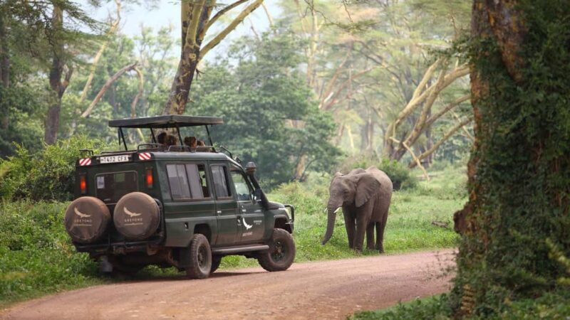 4 Days Ngorongoro Crater and Lake Manyara Wildlife Safari - Who Will Enjoy This Tour?