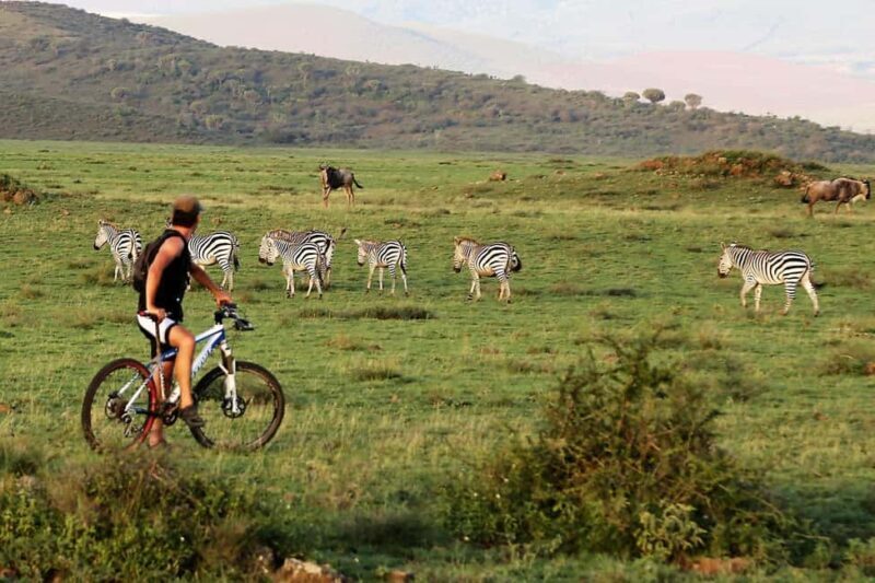 4 Days Ngorongoro Crater and Lake Manyara Wildlife Safari - FAQ