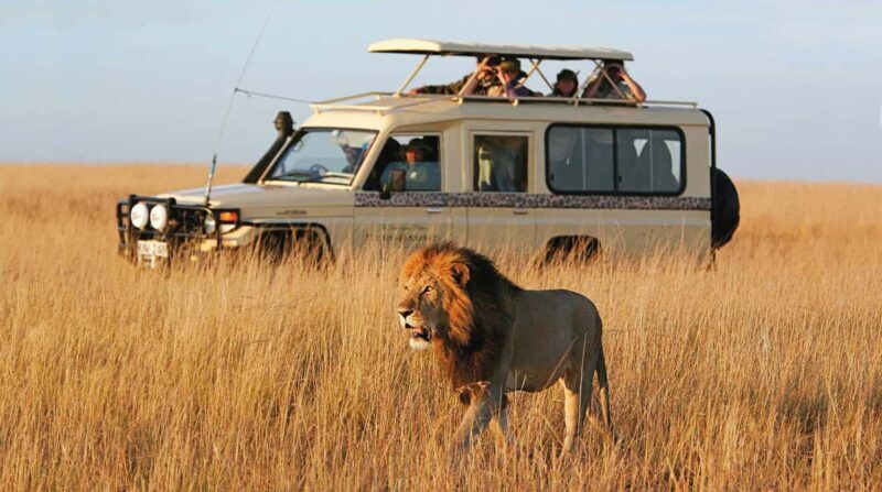 4 Days Nyerere national park and mikumi national park - Exploring the Itinerary: From Dar Es Salaam to the Heart of Tanzania’s Wilderness
