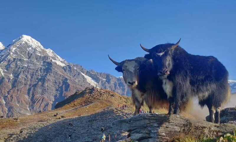 4 Days Pikey Peak Trek : The Best View of Mt Everest - What to Expect in Terms of Comfort and Challenge