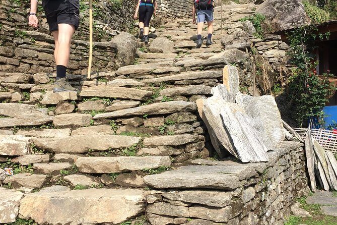 4 Days Poon Hill Trek from Pokhara - Comfortable, Well-Organized Logistics