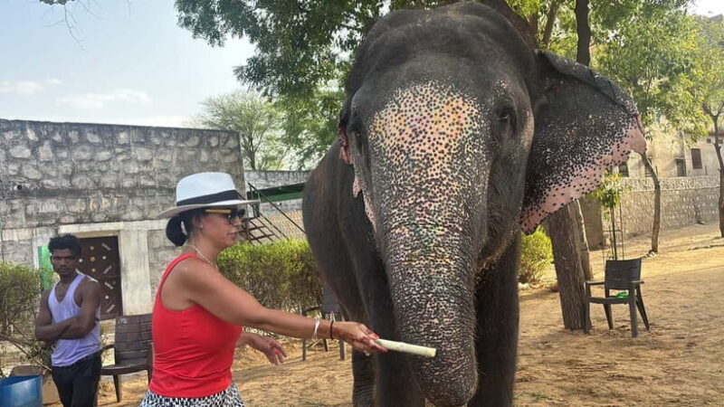 4-Days Private Golden Triangle Tour: Delhi, Agra & Jaipur - Authenticity and Value
