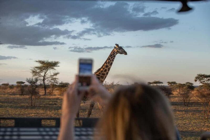 4 Days Private Luxury Safari to Serengeti and Ngorongoro - What’s Included and What to Expect