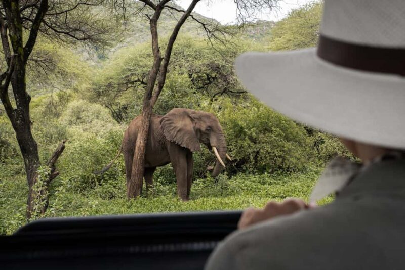 4 Days Private Luxury Safari to Serengeti and Ngorongoro - Who Is This Tour Best For?