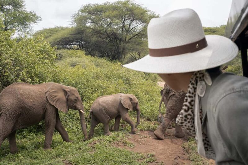 4 Days Private Luxury Safari to Serengeti and Ngorongoro - FAQ