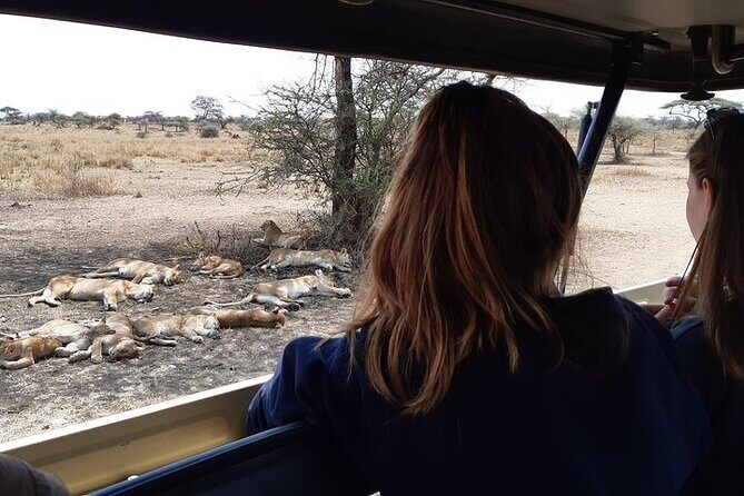 4 Days Private Midrange Lodge Safari to Serengeti & Ngorongoro - A Detailed Look at What This Safari Offers