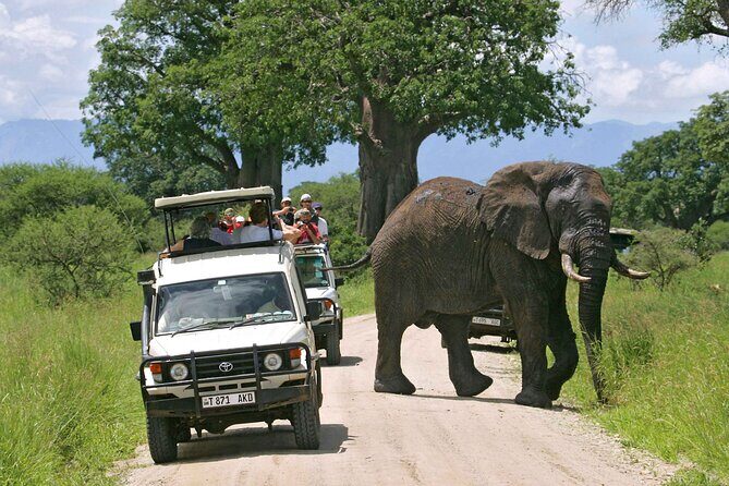 4-Days Private Midrange, Tarangire Ngorongoro, Manyara & Materuni - Who Should Consider This Tour?