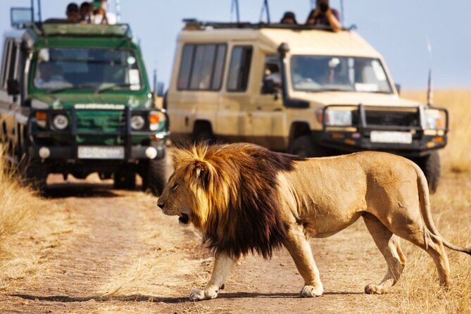 4 Days Private Tour at Kruger National Park & Blyde River Canyon - Key Points