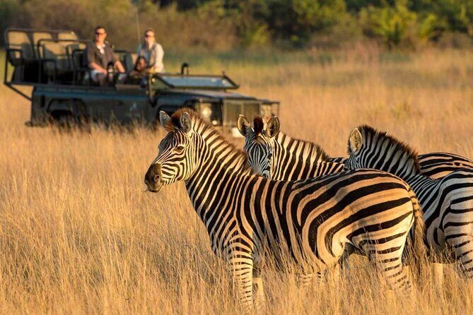 4 Days Private Tour at Kruger National Park & Blyde River Canyon - Who Should Consider This Tour?