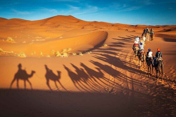 4 Days Private Tour To Marrakech From Tangier - Practical Tips for Travelers