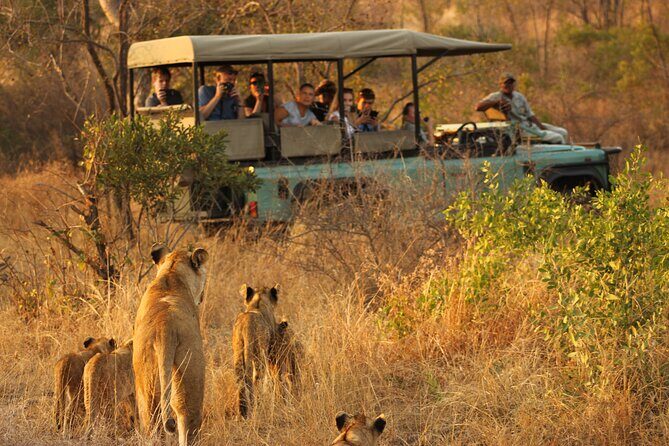 4 Days Radisson Kruger Safari Tour from Johannesburg - Final Thoughts