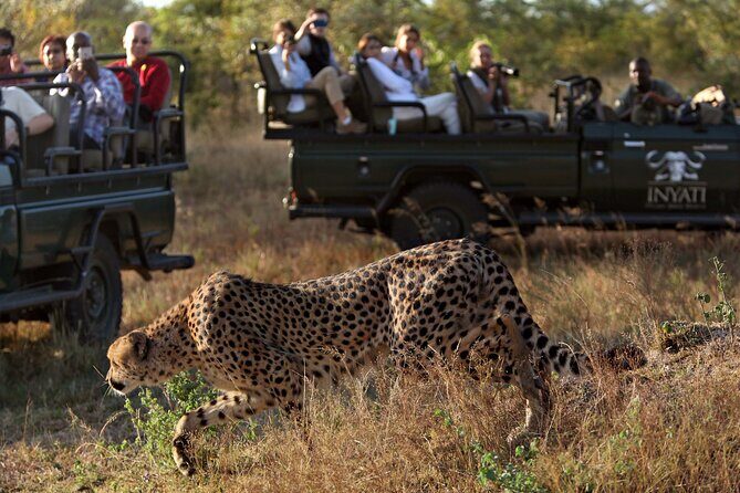 4 Days Radisson Kruger Safari Tour from Johannesburg - FAQ