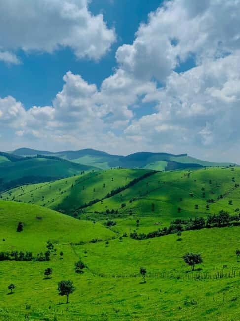 4 Days Rwanda Gorilla Trekking, Lake Kivu & Caves - Final Thoughts